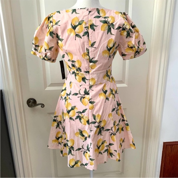 Squeeze the Day Light Pink Lemon
Print Puff Sleeve Skater Dress - Picture 3 of 5
